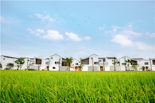 ​义乌首批宅基地权益凭证发放，可交易可抵押贷款！